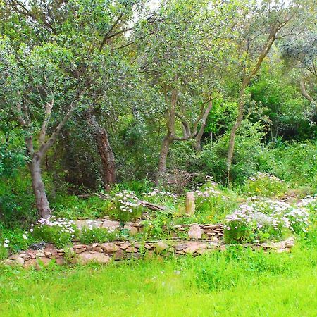 Agriturismo Sogno Latino Iglesias Bagian luar foto