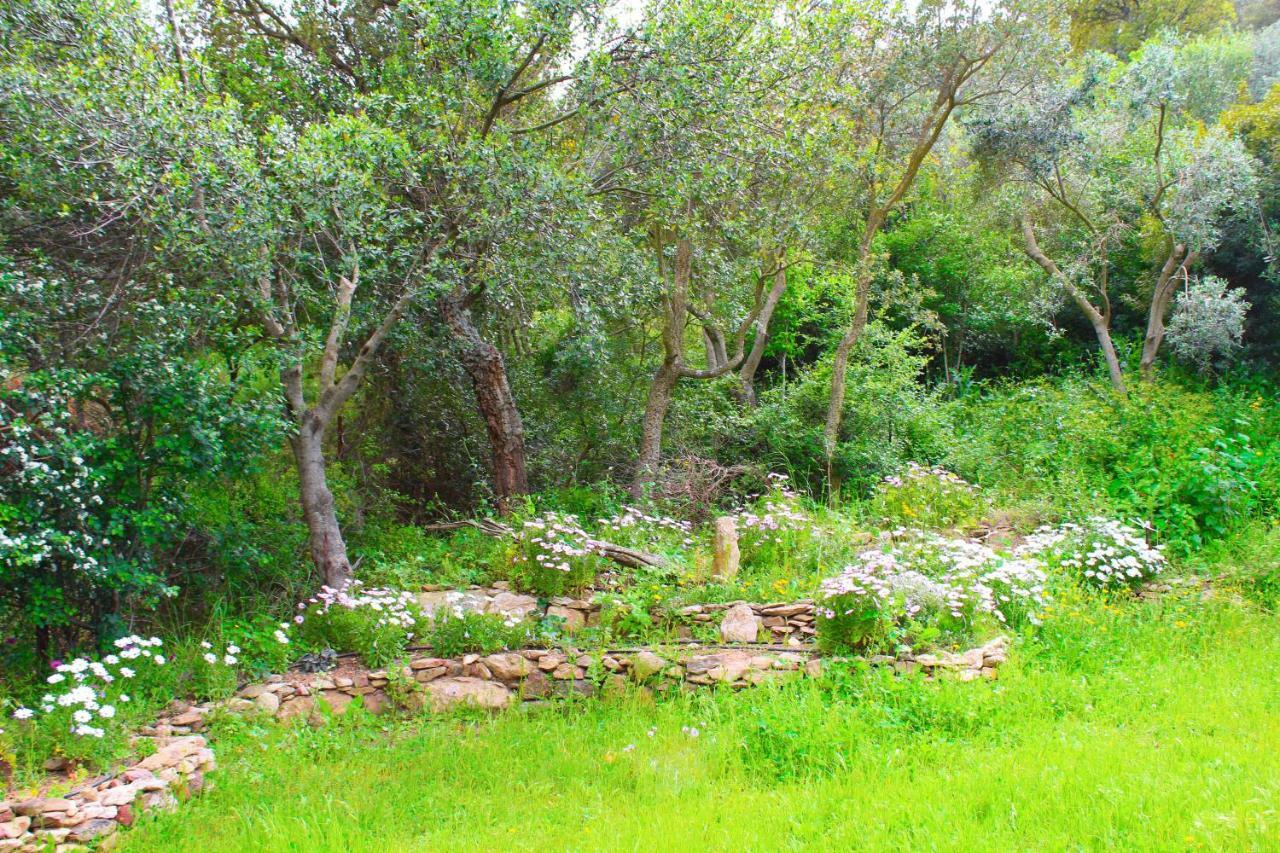 Agriturismo Sogno Latino Iglesias Bagian luar foto